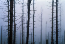 Қышқыл жаңбыр дегеніміз не?