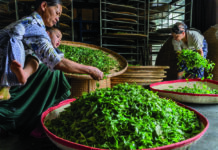 Ішсем шай, көңілім жай