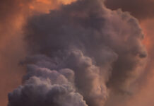 Деменцияның кең тараған түріне не себеп?