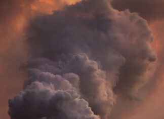 Деменцияның кең тараған түріне не себеп?